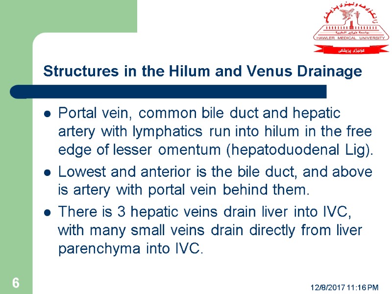 Structures in the Hilum and Venus Drainage Portal vein, common bile duct and hepatic